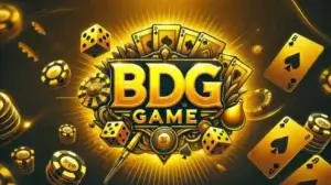 BDG Net Practical Privacy Guide for Careful Users